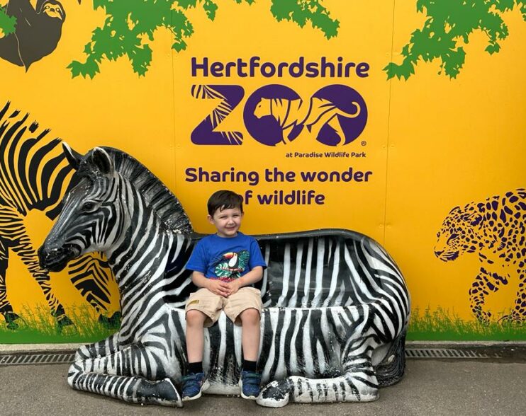 Roar into Adventure: Dinosaurs and Wildlife at Hertfordshire Zoo