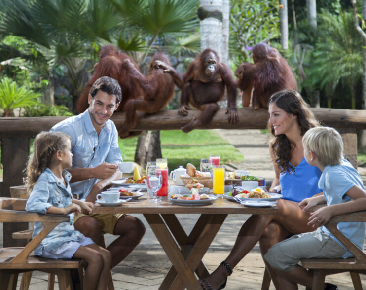 Dining With Orangutans And Riding Elephants in Bali Zoo