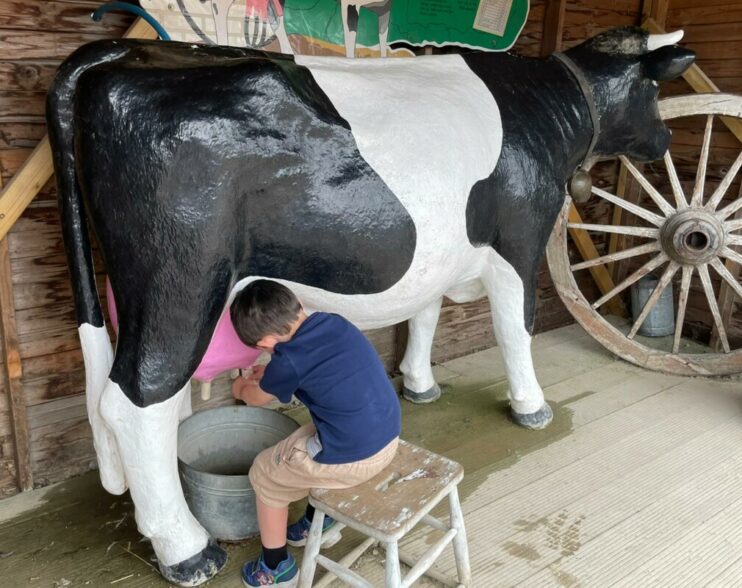 Barnyard Bliss: Exploring Old MacDonald’s Farm & Fun Park