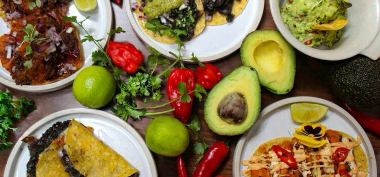 Authentic Mexican Flavours at El Cenote Mexican Bar & Restaurant in Camden