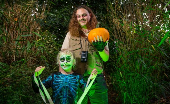 Halloween at Twycross Zoo