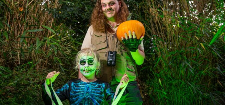 Halloween at Twycross Zoo