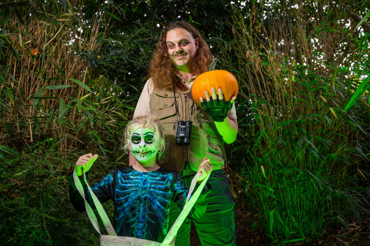 Halloween at Twycross Zoo